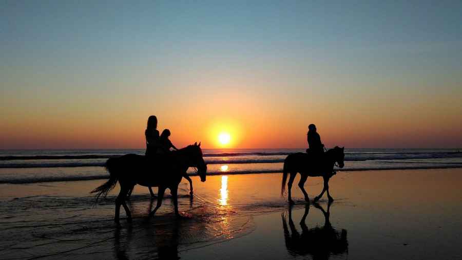 horse back riding sunset marsala